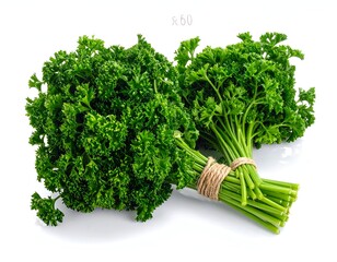 Fresh, vibrant parsley, bundled with twine, on a bright white backdrop