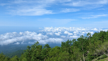 Obraz premium Sea of clouds and green mountain landscape in Japan with copy space