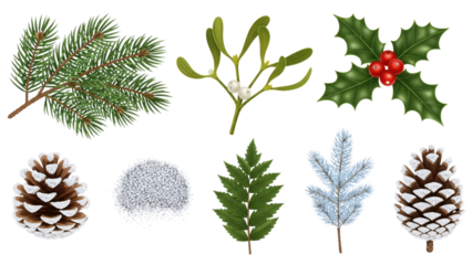 Assorted evergreen branches and winter foliage composition.