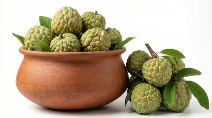 Obraz premium Fresh Organic Custard Apple or Sugar Apple Fruits in Traditional Clay Pot with Green Leaves Isolated on White Background for Tropical Healthy Fruit and Nutrition Concept - photoshop with ai