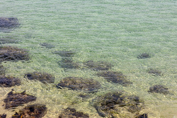 Clear sea water and small rocks

