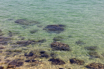 Clear sea water and small rocks