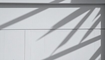 Walls shadows dance in white light