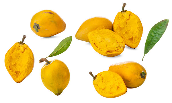 Fresh egg fruit or Canistel Yellow Sapote (Pouteria campechiana) with leaves isolated on white background