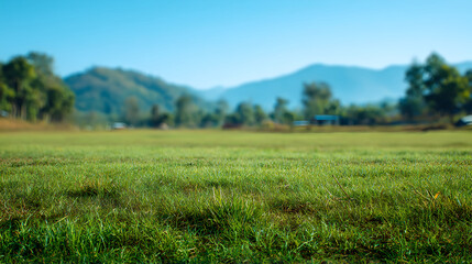 Obraz premium Lush green grass lawn stretching toward sharp mountain peaks under clear sky 