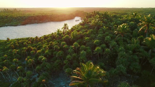 Dense tropical jungle and blue water lagoon in Mexico at sunset