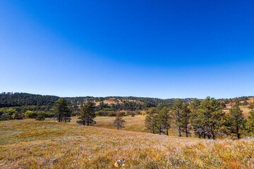  Beautiful prairie landscape at Custer State Park in South Dakota.