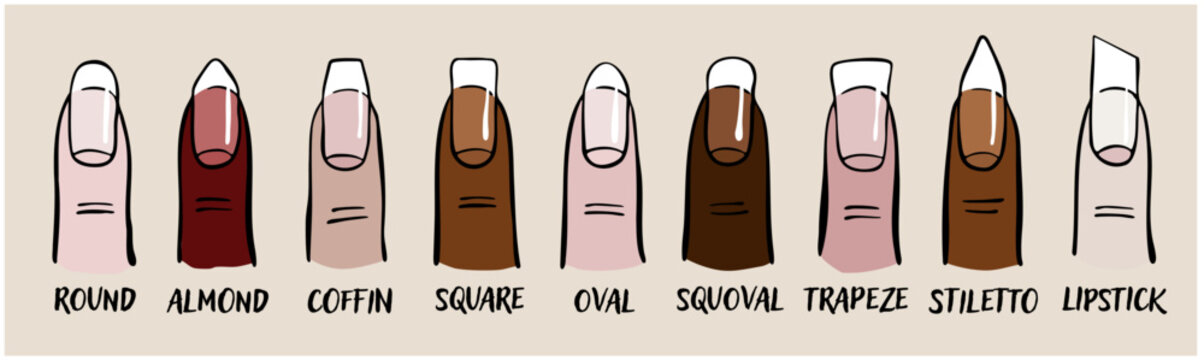 nail shape chart illustration &ndash; manicure nail shapes guide vector

