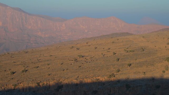 Wide, high-angle shot capturing the vast, arid landscape of the Wadi Bani Khalid region in Oman. The scene features rolling hills, dry scrub vegetation, and imposing mountains in the background, illum