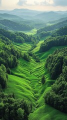 Obraz premium Lush Green Valley Landscape with Rolling Hills and Sunlight Rays