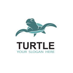 sea turtle icon isolated on white background
