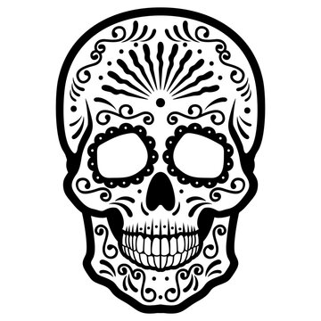 Sugar Skull Illustration Vector
