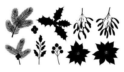 Christmas botanical winter plant vector set with pine holly mistletoe poinsettia and berries © SobujChandra