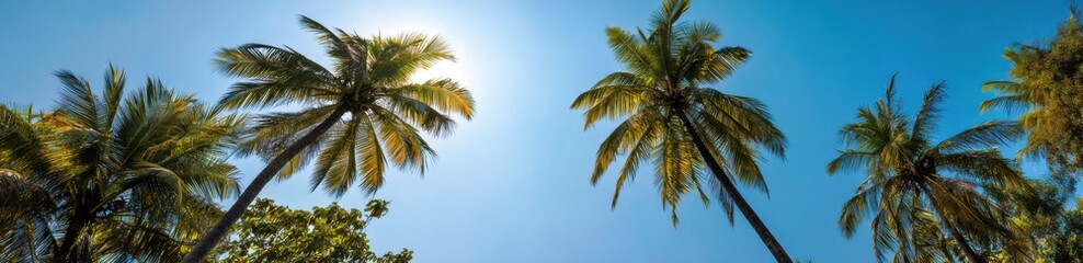 Fototapeta premium Palm Trees Against a Clear Blue Sky