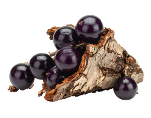 Deep purple berries spilling from a piece of weathered, brown wood