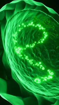 Inside Human Body Green Vein With Glowing Particles, Medical Animation