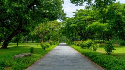 Obraz premium Serene pathway through lush green park surrounded by vibrant trees and well-maintained garden scenery for a tranquil nature escape