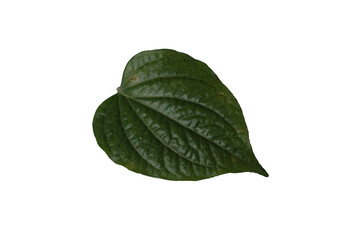 Fototapeta premium A leaf is shown on a white background