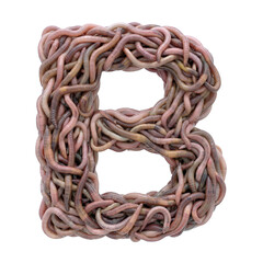 earthworm letter B - large 3d earthworm font isolated on white background. This alphabet is perfect for creative illustrations related to gardening, compost, horror concept. Generative AI