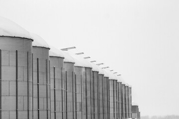 Agricultural steel grain bins storing seeds in cold frosty winter. Snowbanks in the farm and on granaries after snowfall. Minimal monochrome photo. © Saeedatun