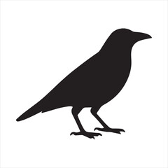 Obraz premium Silhouette raven standing profile flat design vector illustration