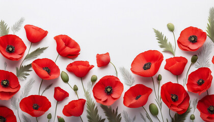 Vibrant Floral Border Design Featuring Red Poppies On A Soft Light Background Ideal For Seasonal And Celebration Themes