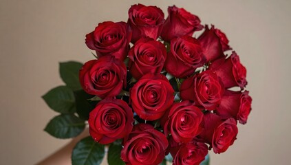 Beautiful bouquet of red roses is held up against a light background