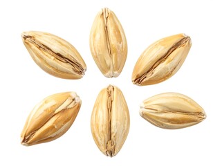 Seven grains arranged in a circle, isolated against a white backdrop, showcasing their textured surfaces and neutral tone