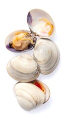 Stacked clams show shells, some open, revealing interior hues of peach, tan, violet, and white