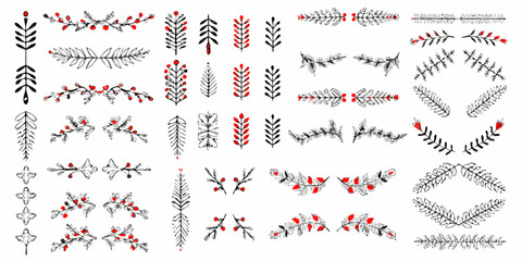 Collection of decorative pine branches and berry sprigs in black and red © Sabuj