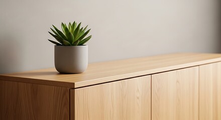 Green Plant on Cabinet with Light Beige Wall for Interior Decoration Idea