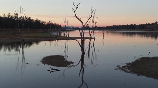 Silhouetted trees at California reservoir. Otay Lakes in Chula Vista, California, slow drone orbit at sunrise.