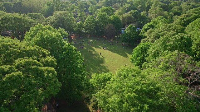A gorgeous aerial flying over a lush, green tree canopy surrounding an urban park as people throw the frisbee and picnic during golden hour on a bright summer day in Atlanta, Georgia.