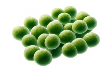 Group of small green spherical cells representing cocci bacteria, pathogens, or microorganisms, illustrating infection and scientific study