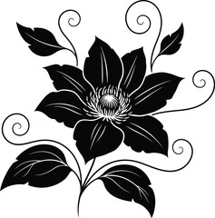 Decorative Botanical Flower Design Vector on Transparent Background