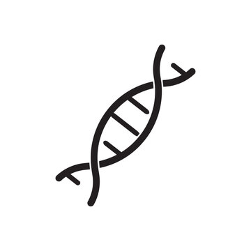 long genetic molecule structure DNA icon