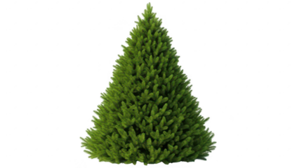 A green christmas tree isolated on transparent background for holiday and decoration