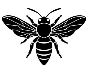 Fototapeta premium silhouette of a Bee flying vector illustration isolated on white background