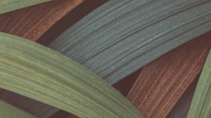 緑と茶色の葉の向き合い方