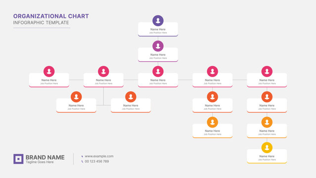 Organizational Chart, Tree Diagram, Dendrogram Business Infographic Template Design