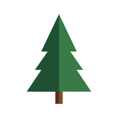 Fototapeta premium Illustrated pine tree Vector