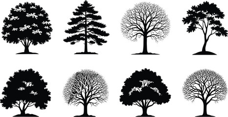 Tree silhouettes set, diverse forest nature species collection, oak pine and deciduous garden elements, landscape design icons, environmental greenery vector.