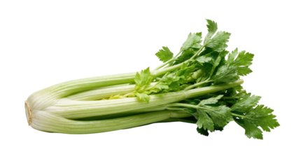 A bunch of green celery stalks with leaves and a pale base is displayed in a horizontal orientation object on white and png