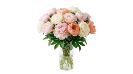 Arrangement of light pink peach and white roses with green leaves in a clear glass vase floral still life image white background cutout