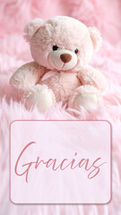Gracias Teddy Bear Baby Pink Fur Vertical Box Text 