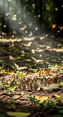 Obraz premium Butterflies Gathering on Forest Floor in Thailand.