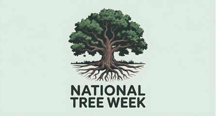National Tree Week Concept with Tree Roots and Green Canopy