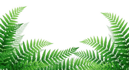 Green fern fronds forming a natural archway isolated on transparent background