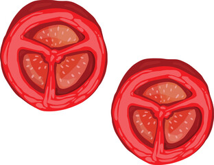 Two Sliced Tomatoes On A White Background