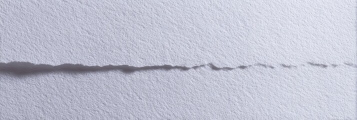 白い紙の裂け目の詳細な観察